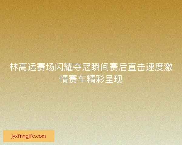林高远赛场闪耀夺冠瞬间赛后直击速度激情赛车精彩呈现