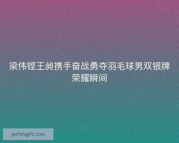 梁伟铿王昶携手奋战勇夺羽毛球男双银牌荣耀瞬间 梁伟铿王昶携手奋战勇夺羽毛球男双银牌荣耀瞬间