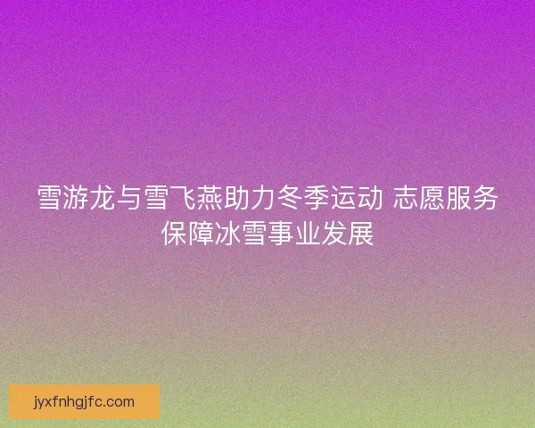 雪游龙与雪飞燕助力冬季运动 志愿服务保障冰雪事业发展